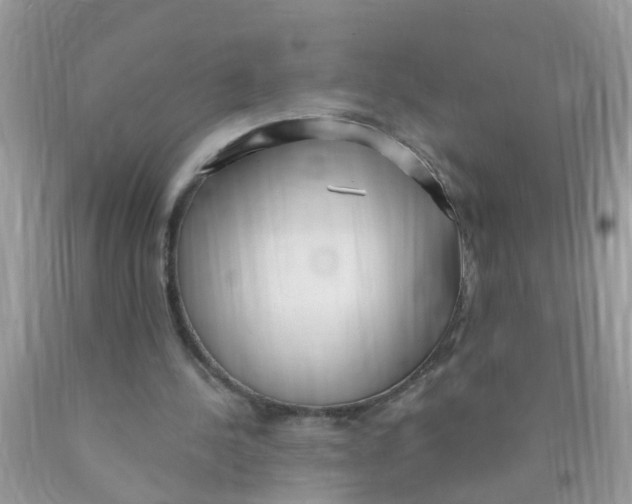 X0000089900244200707262257