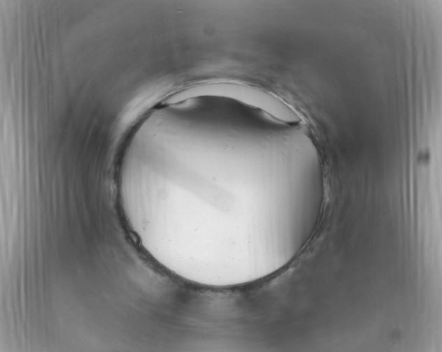 X0000089900245200707262257