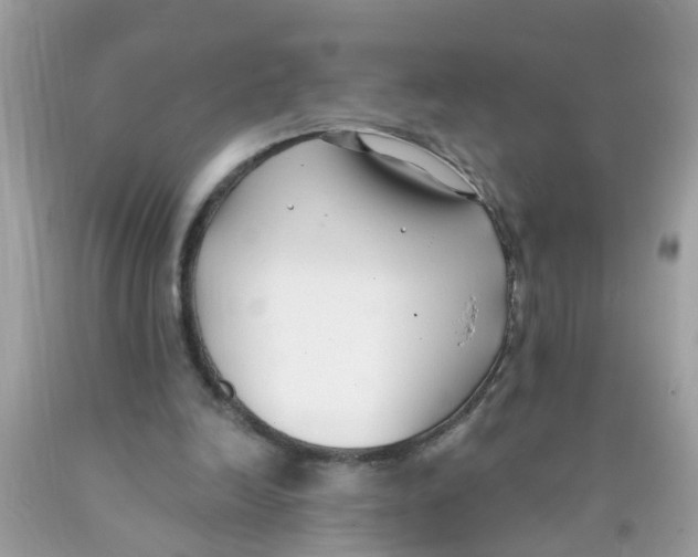 X0000089900246200707262257