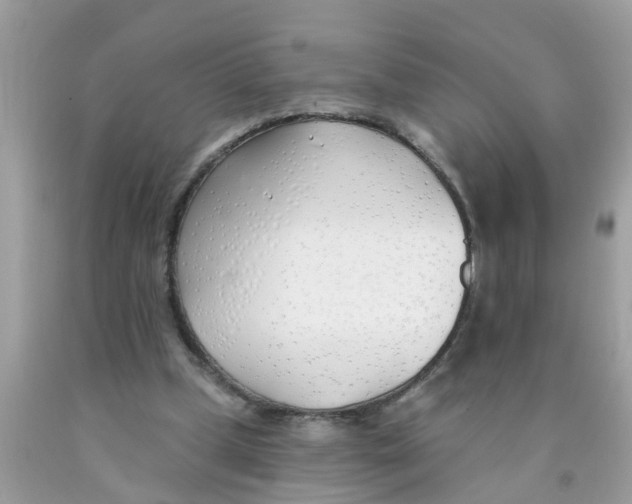 X0000089900249200707262257