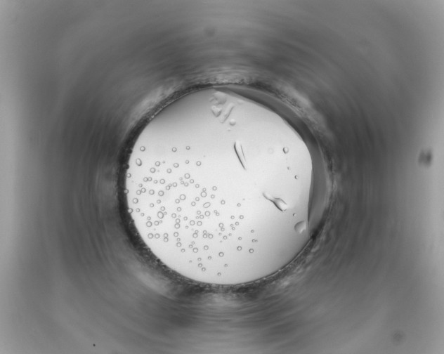 X0000089900250200707262257