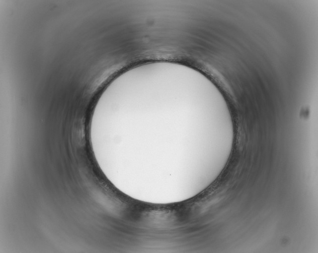 X0000089900251200707262257