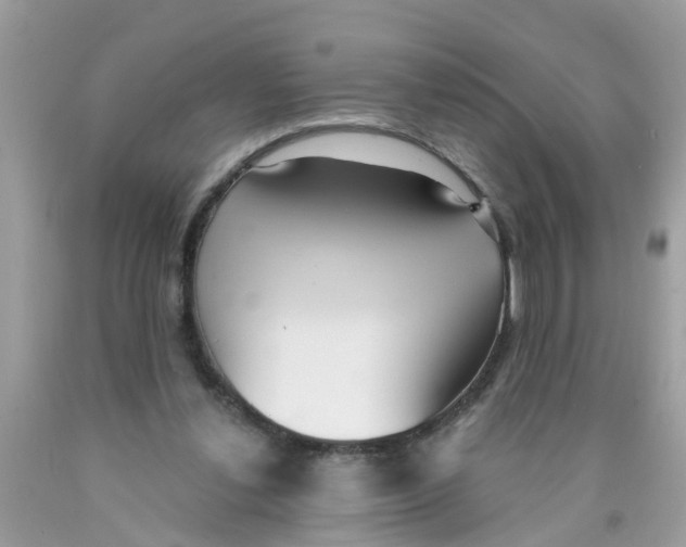 X0000089900252200707262257