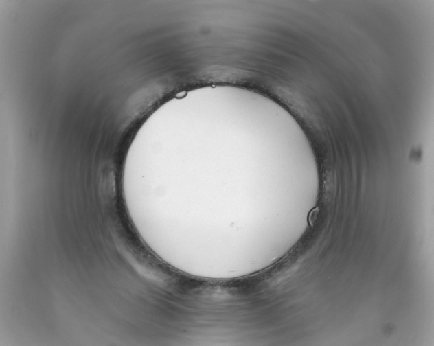 X0000089900254200707262257