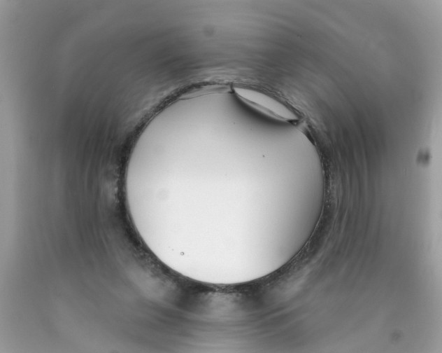 X0000089900255200707262257