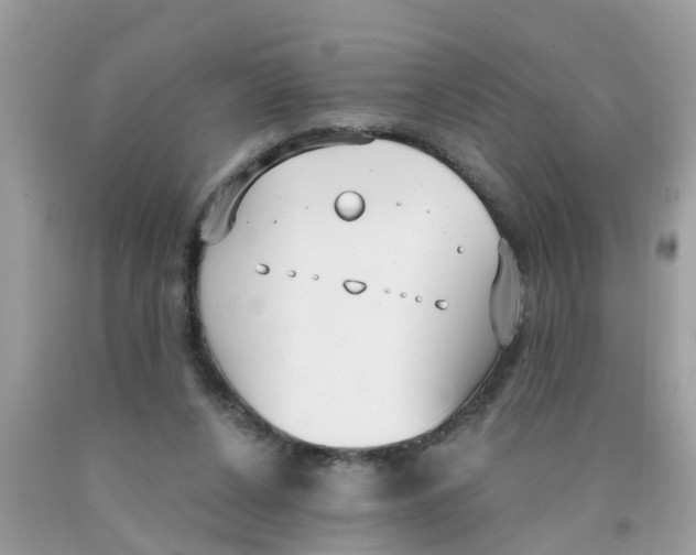 X0000089900256200707262257