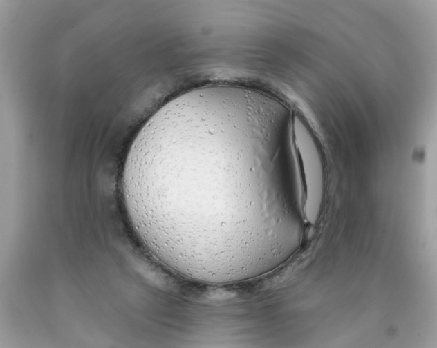 X0000089900257200707262257