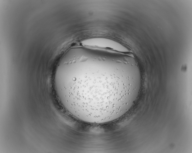 X0000089900258200707262257