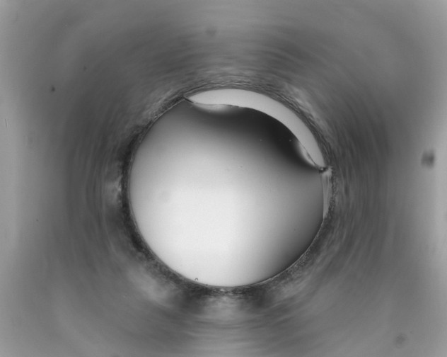 X0000089900259200707262257