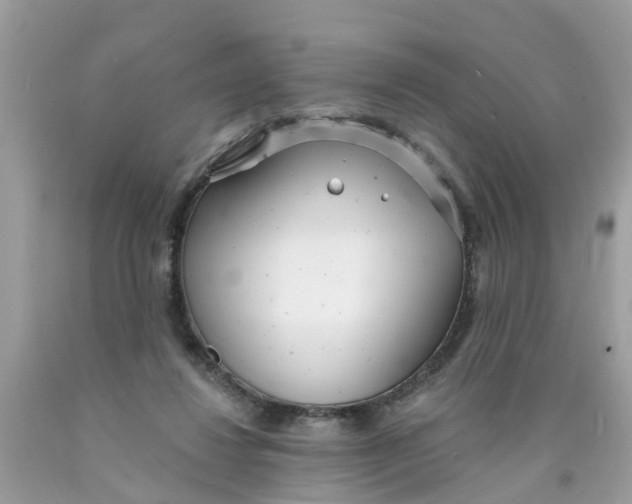 X0000089900260200707262257