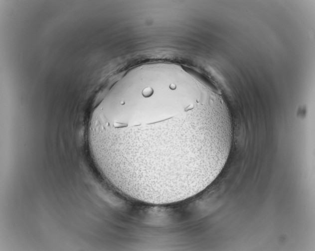 X0000089900261200707262257