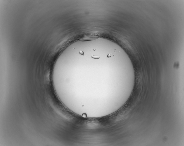 X0000089900262200707262257