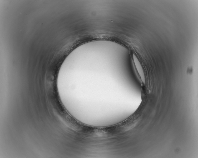 X0000089900263200707262257