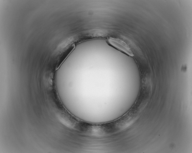 X0000089900264200707262257