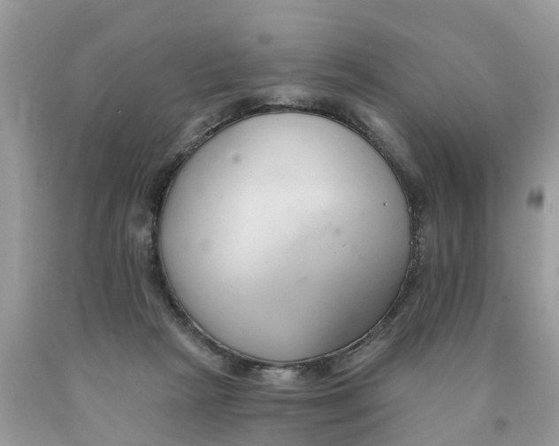X0000089900265200707262257
