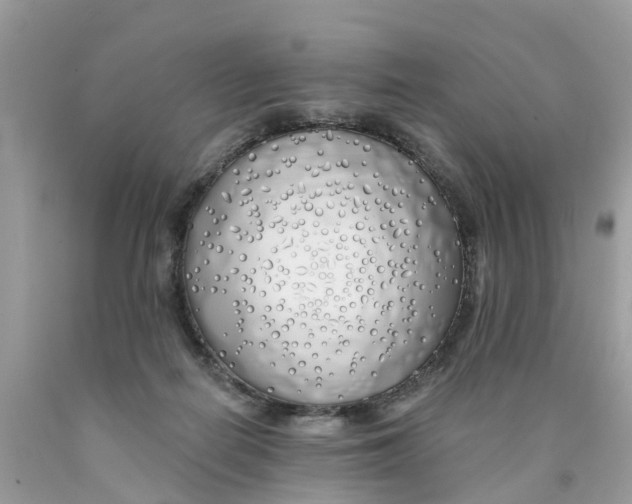 X0000089900266200707262257