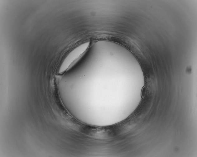 X0000089900267200707262257
