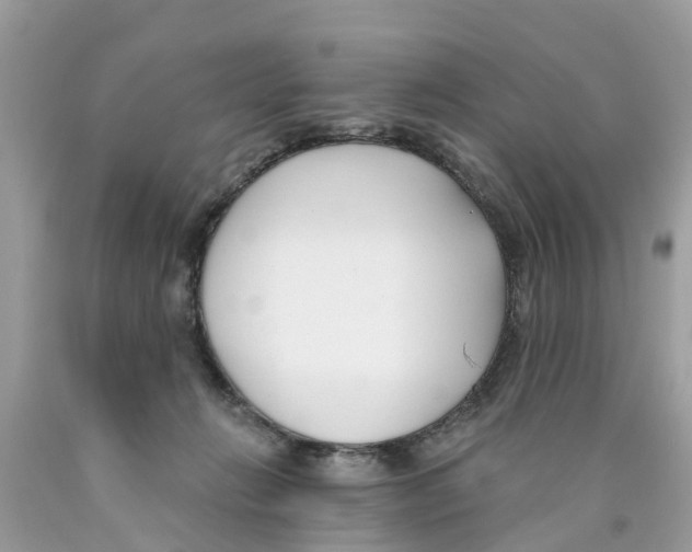 X0000089900270200707262257