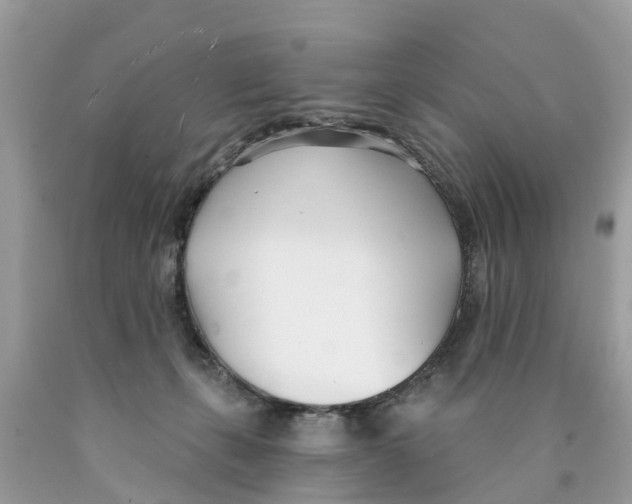 X0000089900271200707262257
