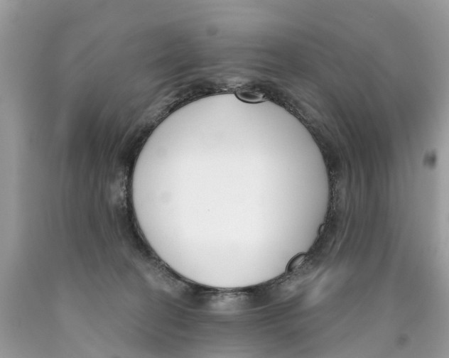 X0000089900274200707262257