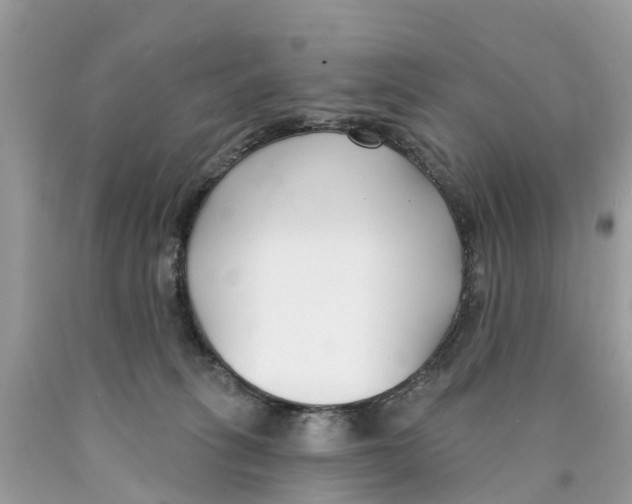 X0000089900275200707262257
