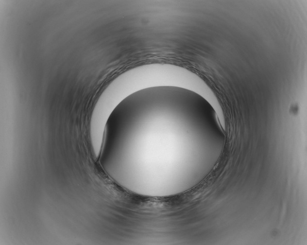 X0000089900276200707262257