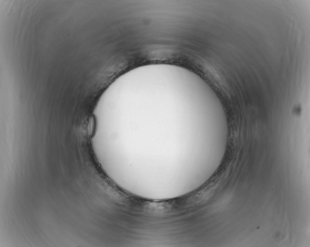 X0000089900277200707262257