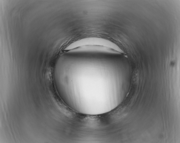 X0000089900280200707262257