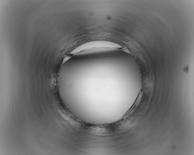 X0000089900284200707262257
