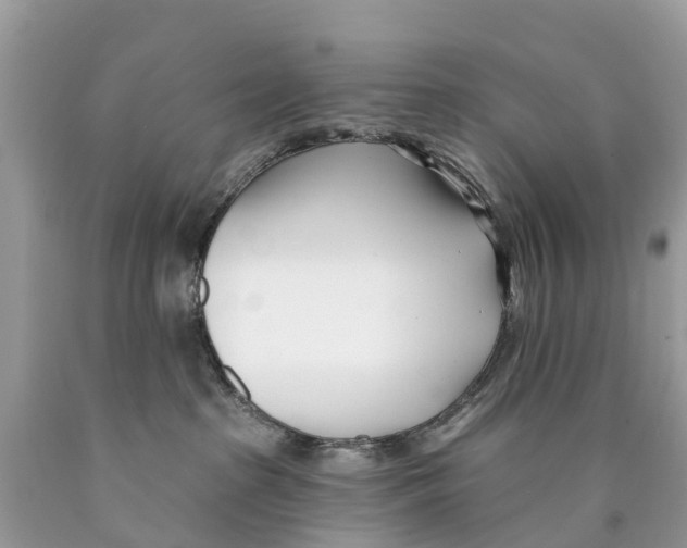 X0000089900285200707262257