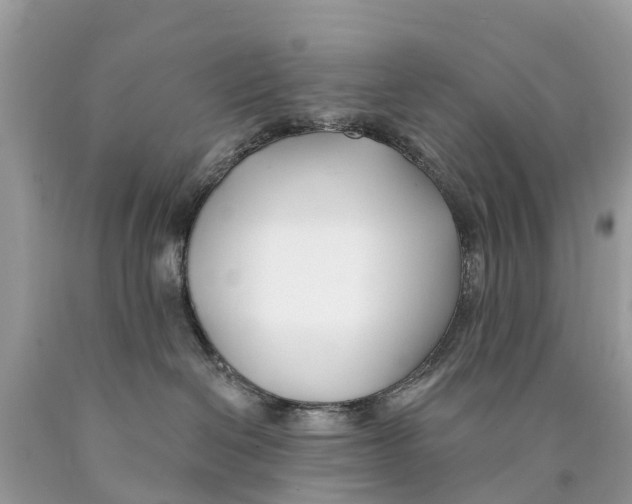 X0000089900286200707262257