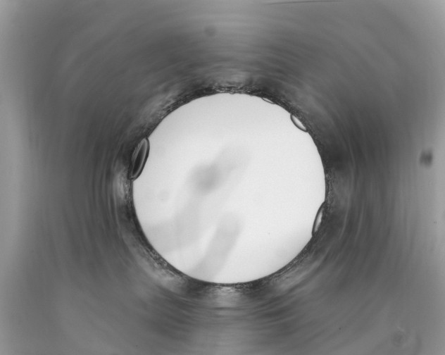 X0000089900287200707262258