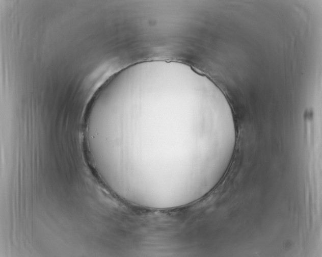 X0000089900290200707262257