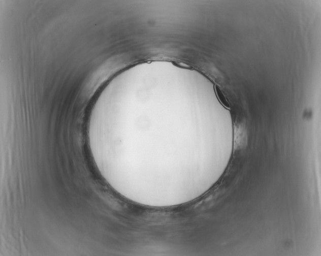 X0000089900291200707262257