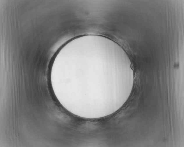 X0000089900292200707262257