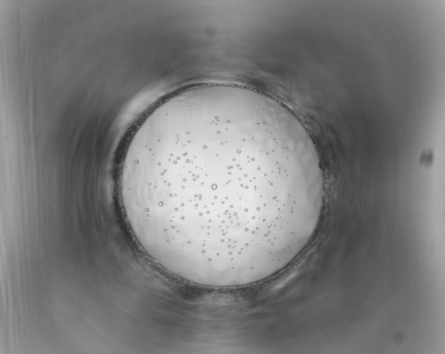 X0000089900294200707262257