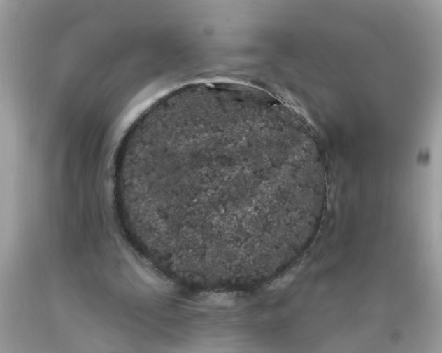 X0000089900295200707262257
