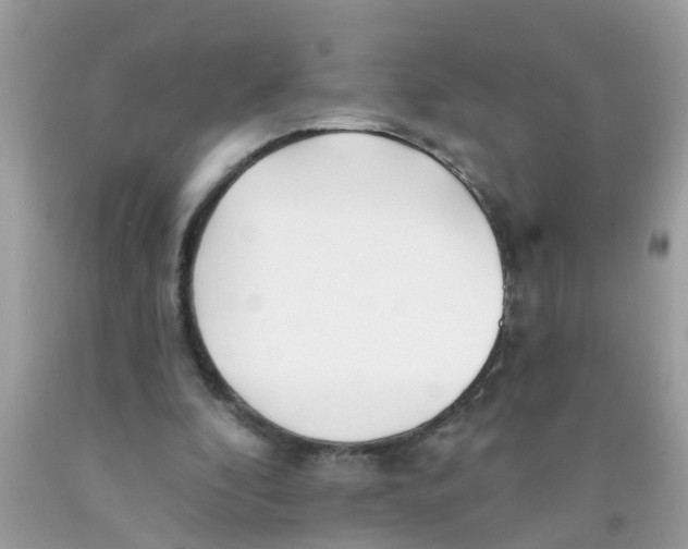 X0000089900296200707262257