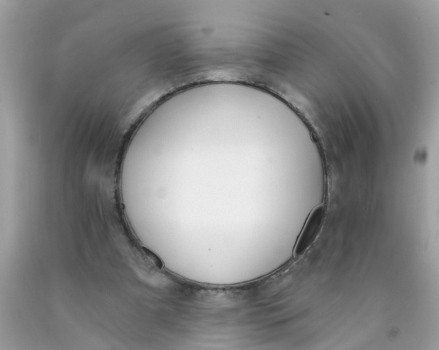 X0000089900297200707262257