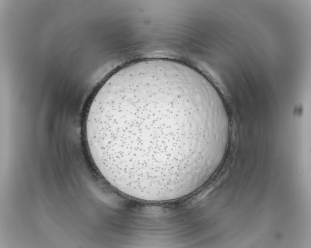 X0000089900298200707262257