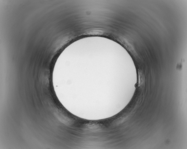 X0000089900300200707262257