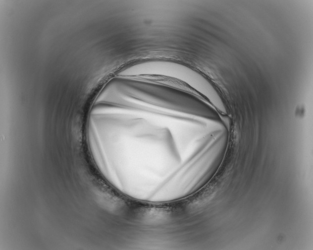X0000089900303200707262257