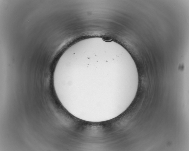 X0000089900304200707262257