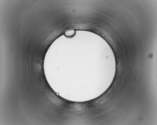 X0000089900305200707262257