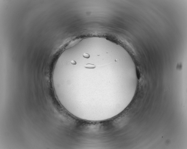 X0000089900306200707262257