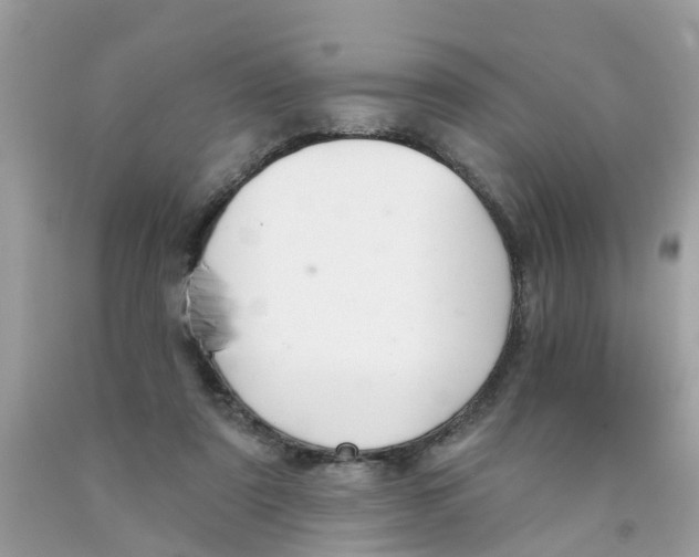 X0000089900307200707262257