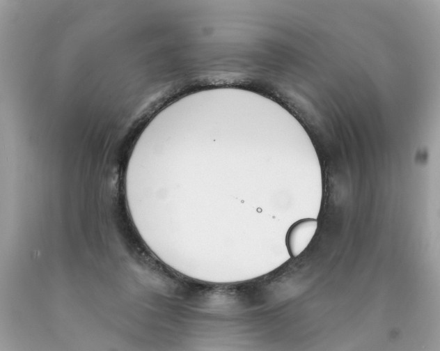 X0000089900308200707262257