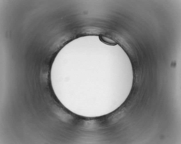 X0000089900309200707262256