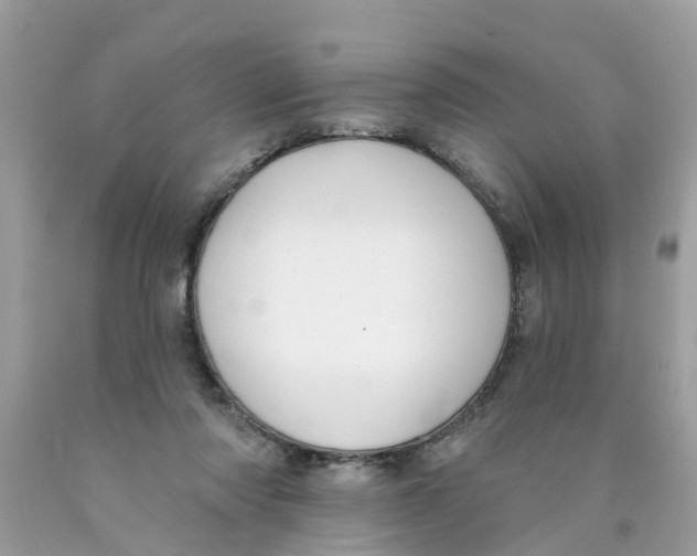 X0000089900310200707262256