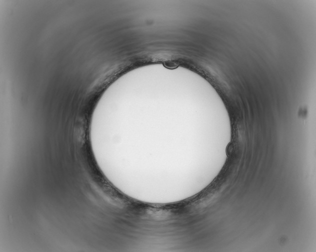 X0000089900311200707262256